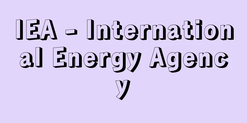 IEA - International Energy Agency