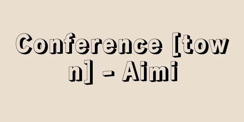 Conference [town] - Aimi
