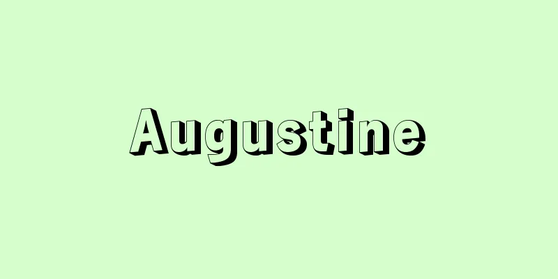 Augustine