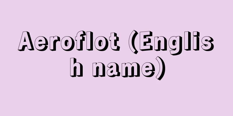 Aeroflot (English name)