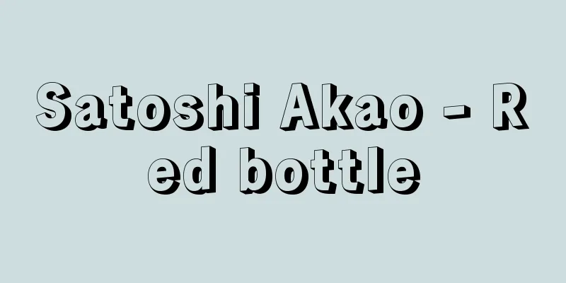 Satoshi Akao - Red bottle