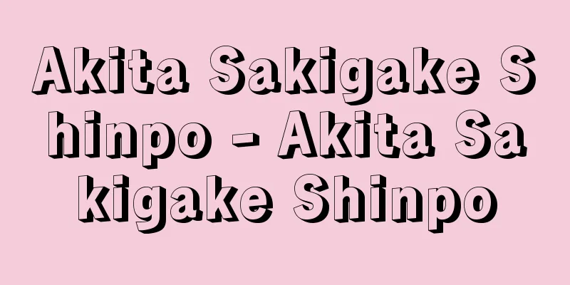 Akita Sakigake Shinpo - Akita Sakigake Shinpo