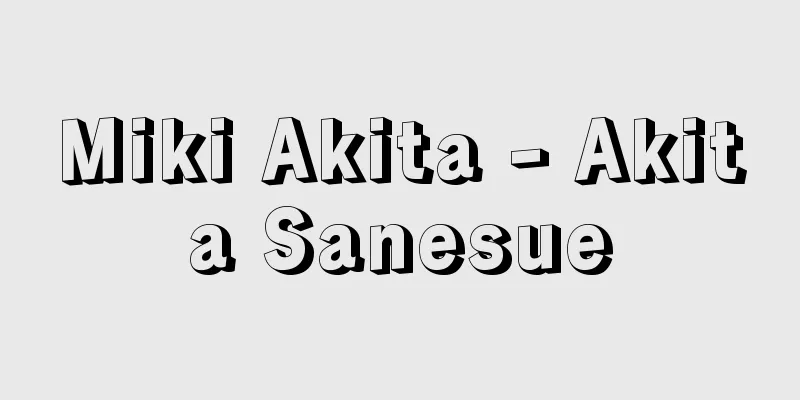 Miki Akita - Akita Sanesue