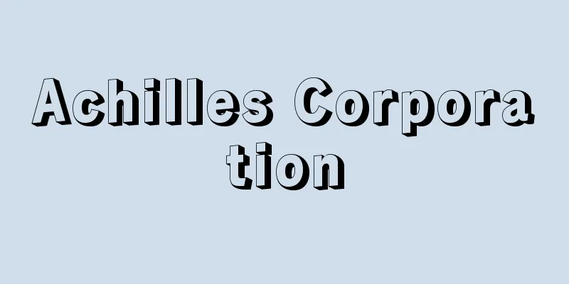 Achilles Corporation