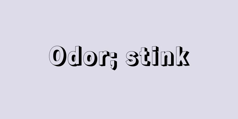 Odor; stink