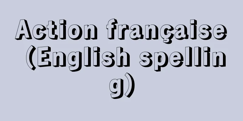Action française (English spelling)