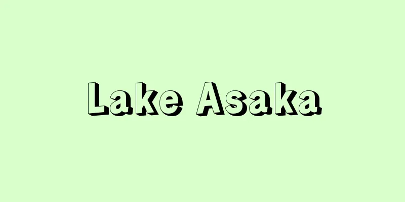 Lake Asaka