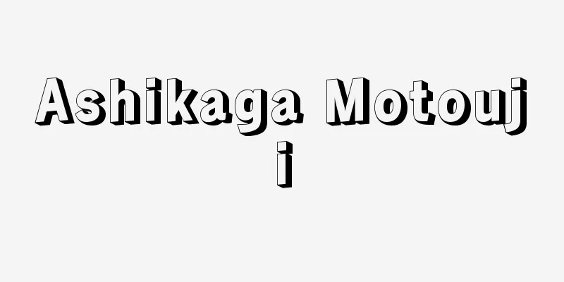 Ashikaga Motouji