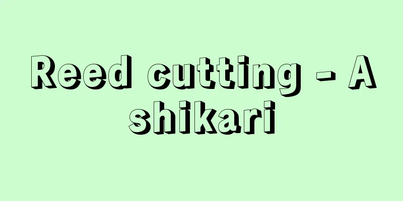 Reed cutting - Ashikari
