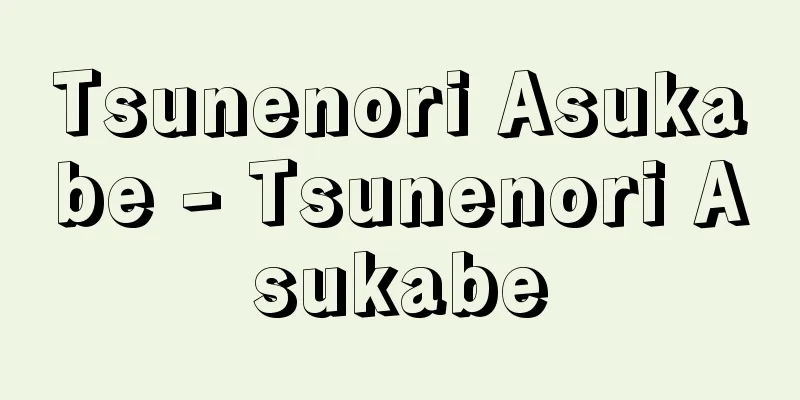 Tsunenori Asukabe - Tsunenori Asukabe