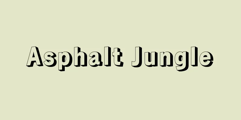 Asphalt Jungle
