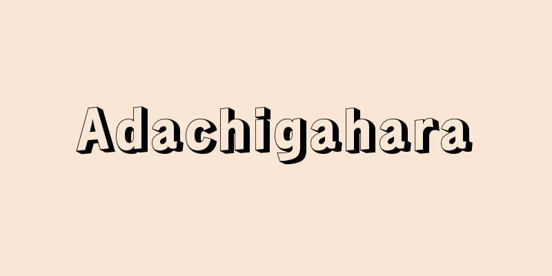Adachigahara