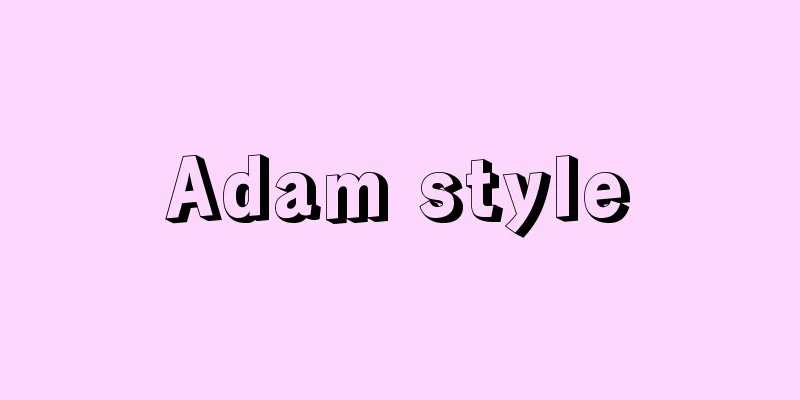 Adam style