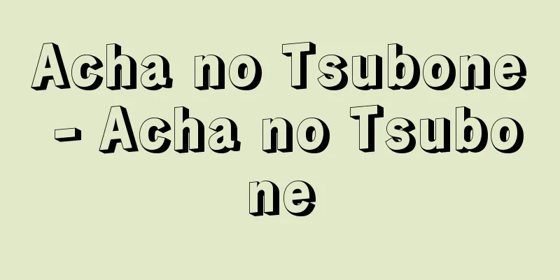 Acha no Tsubone - Acha no Tsubone