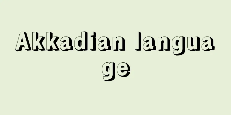 Akkadian language