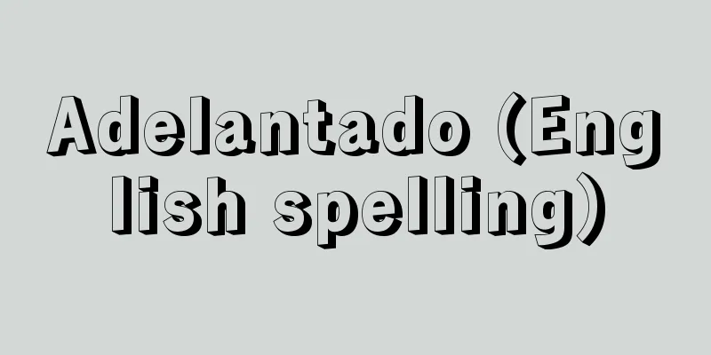 Adelantado (English spelling)