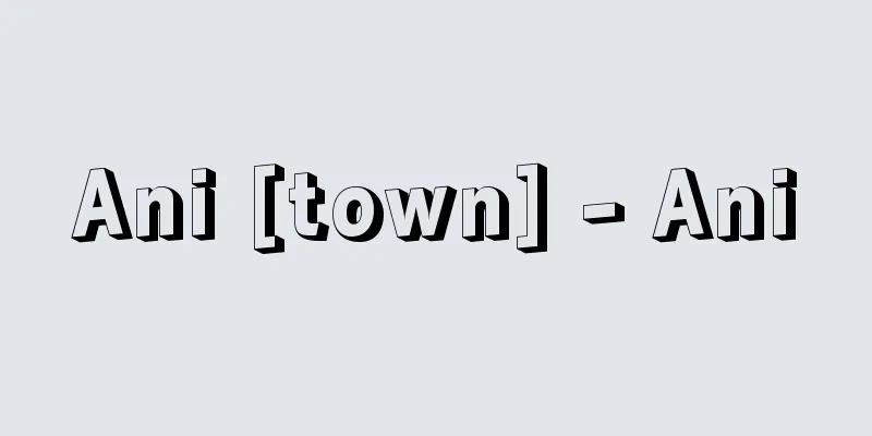Ani [town] - Ani