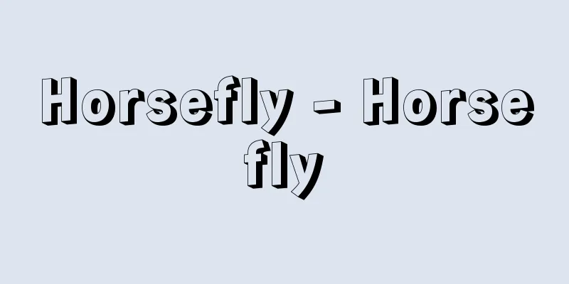 Horsefly - Horsefly