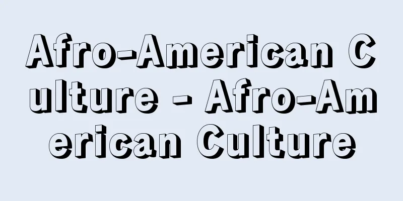 Afro-American Culture - Afro-American Culture