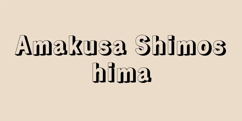 Amakusa Shimoshima