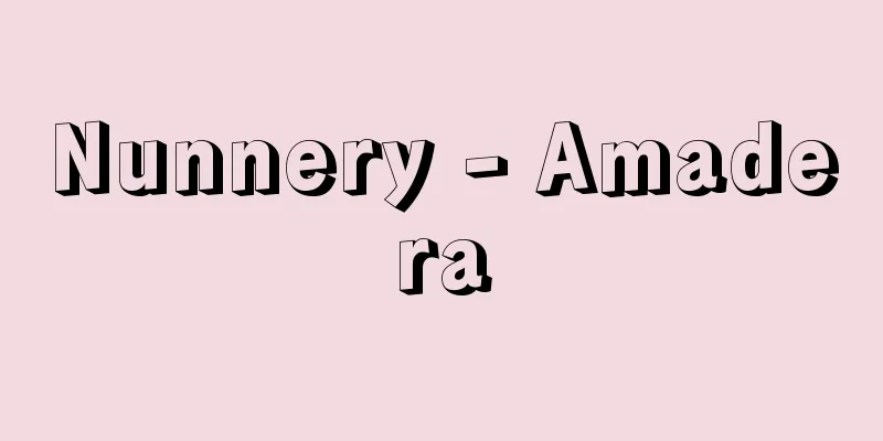 Nunnery - Amadera