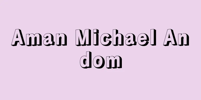 Aman Michael Andom