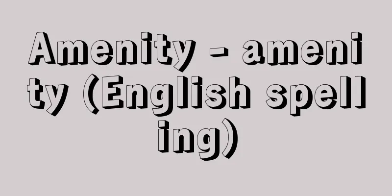 Amenity - amenity (English spelling)