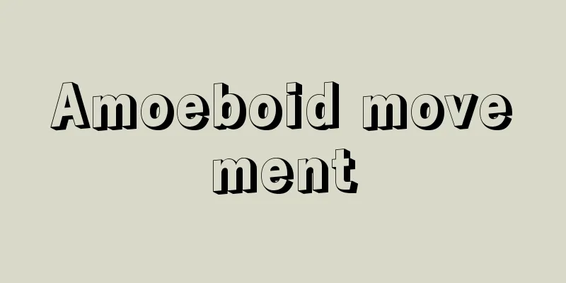 Amoeboid movement