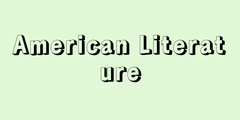 American Literature