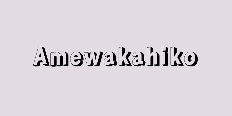Amewakahiko