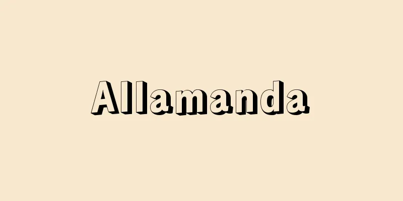 Allamanda