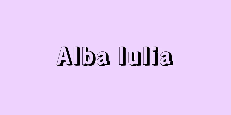 Alba Iulia