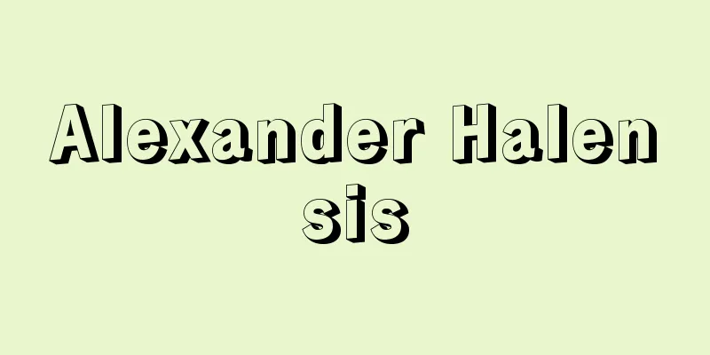 Alexander Halensis