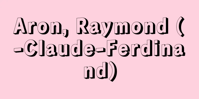 Aron, Raymond (-Claude-Ferdinand)