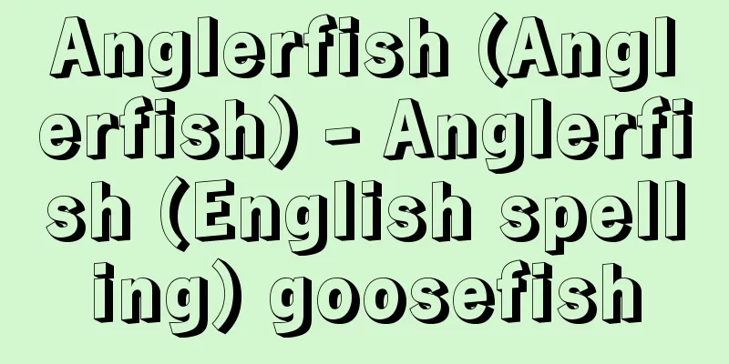 Anglerfish (Anglerfish) - Anglerfish (English spelling) goosefish