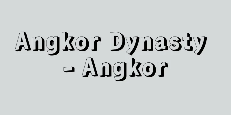 Angkor Dynasty - Angkor