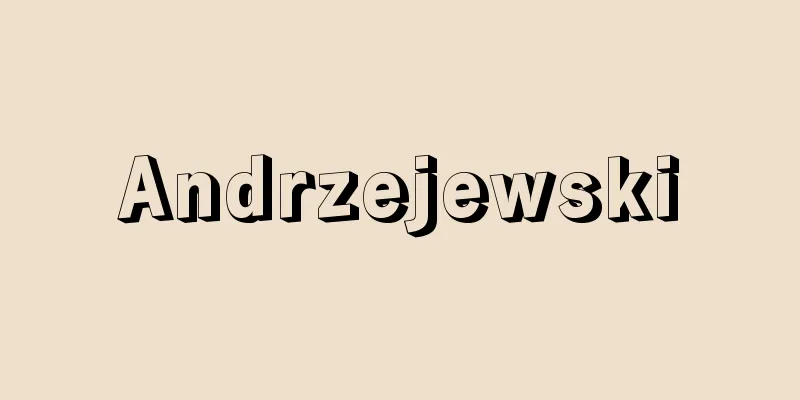 Andrzejewski