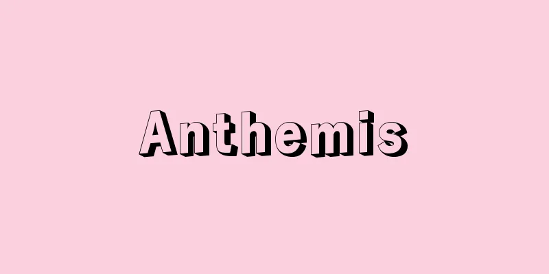 Anthemis