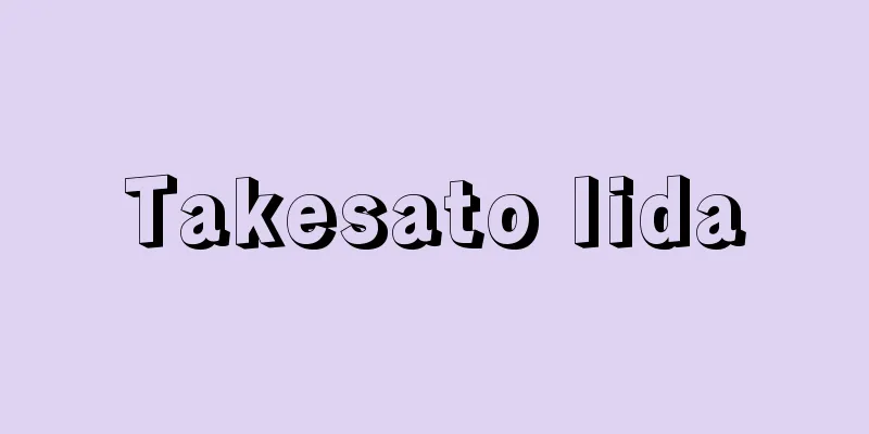 Takesato Iida