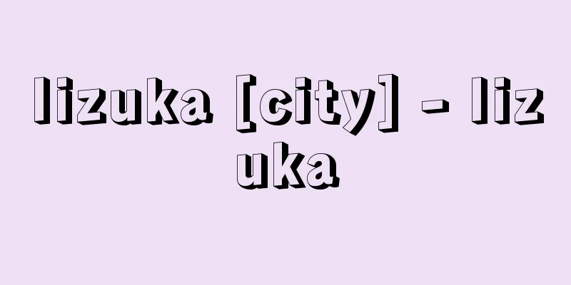Iizuka [city] - Iizuka