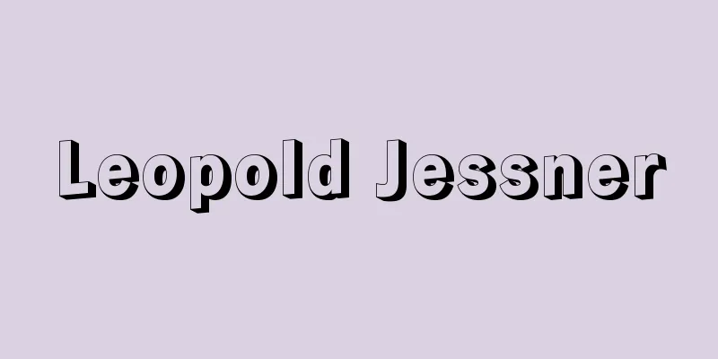 Leopold Jessner