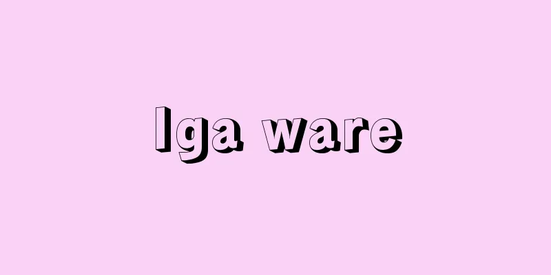 Iga ware