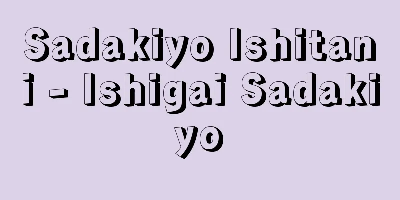 Sadakiyo Ishitani - Ishigai Sadakiyo