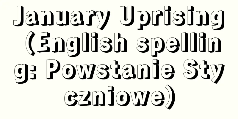 January Uprising (English spelling: Powstanie Styczniowe)