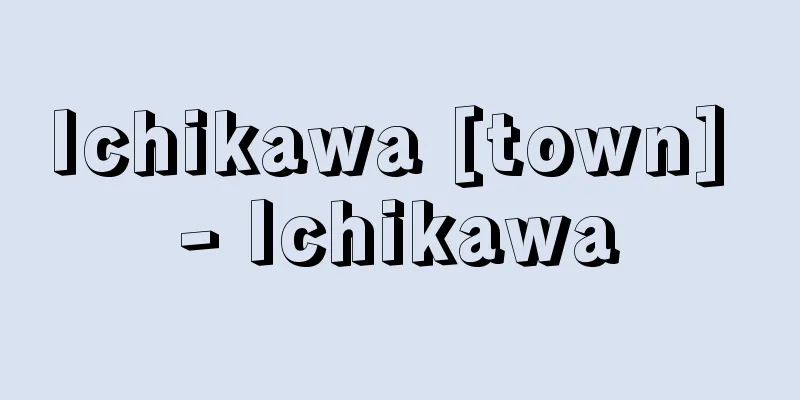 Ichikawa [town] - Ichikawa