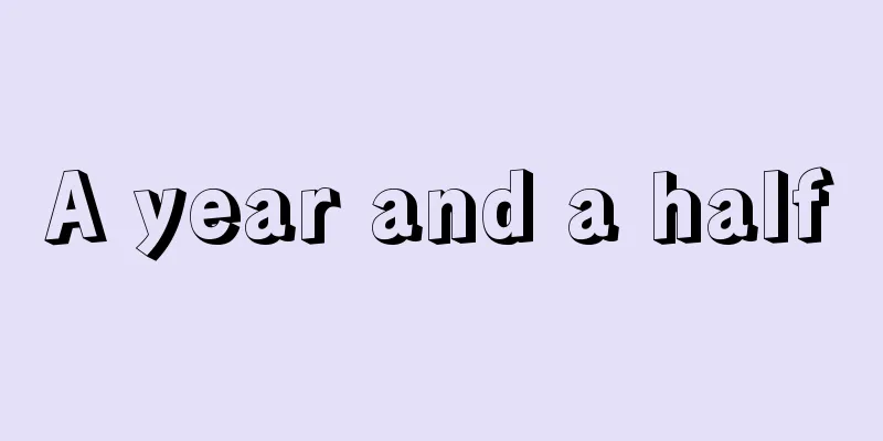 A year and a half