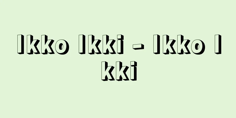 Ikko Ikki - Ikko Ikki