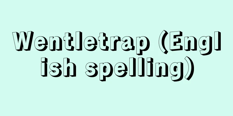 Wentletrap (English spelling)