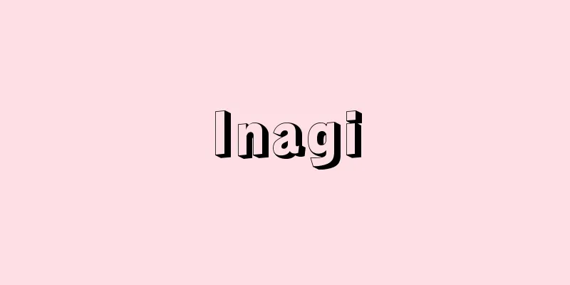 Inagi