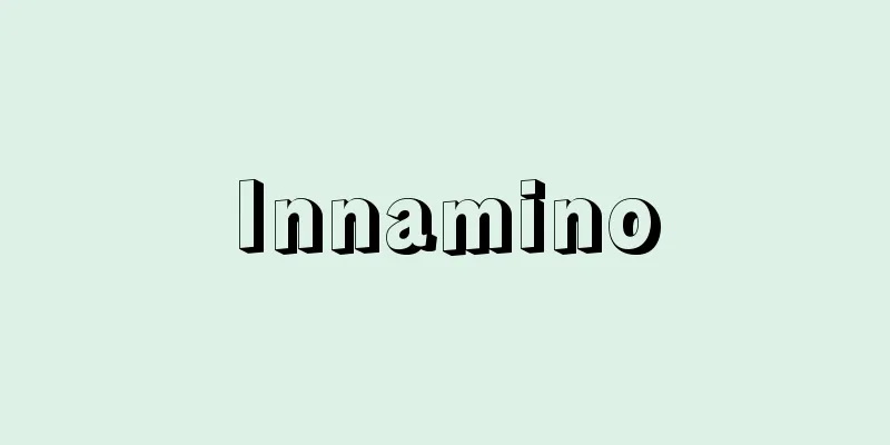 Innamino